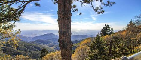 Un paisaje montañoso con un tronco de árbol destacado y una barandilla de madera.