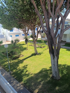 A well-maintained courtyard with mature trees, a small garden, and a building with balconies in the background.