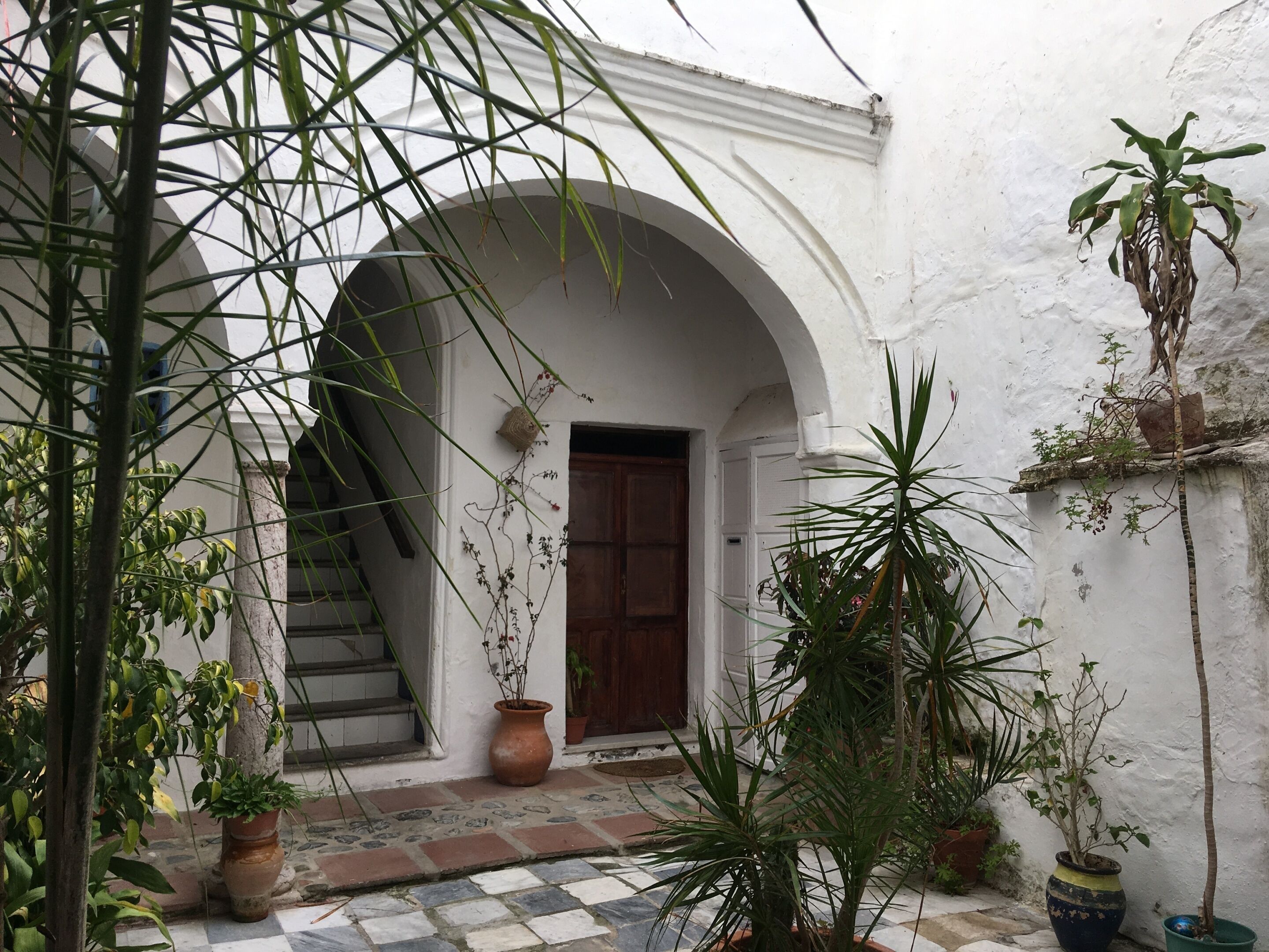 A courtyard with a tiled floor, a wooden door, and several potted plants.