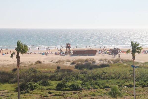 Una playa con palmeras, una torre de salvavidas y gente.