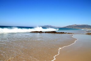 بالقرب من الشاطئ