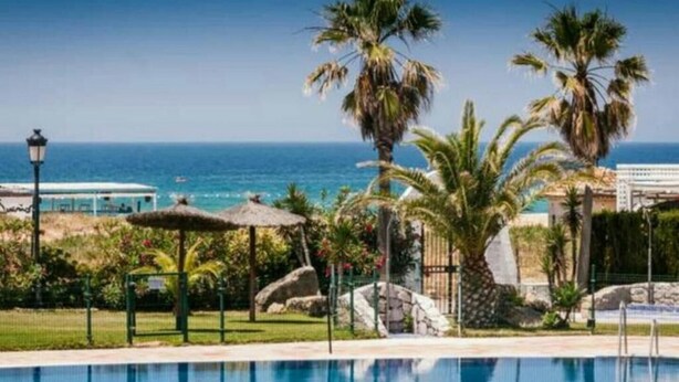 Une piscine avec vue sur l’océan, des palmiers et une structure surmontée d’un toit de chaume.