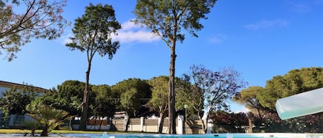 Una piscina con agua cristalina azul, rodeada de altos árboles y un cielo despejado.