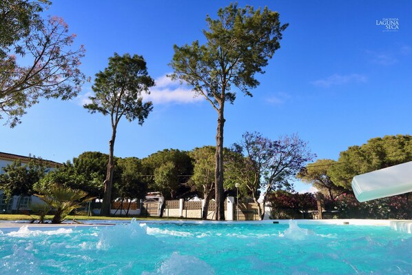 Una piscina con agua cristalina azul, rodeada de altos árboles y un cielo despejado.