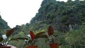 A view of a mountainous landscape with lush greenery and rocky cliffs. - Gold Plus Hotel (Phong Nha)