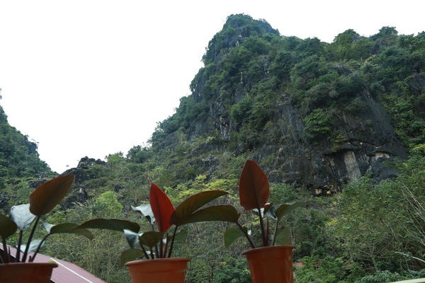Sundeck