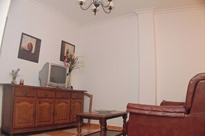 Televisión 