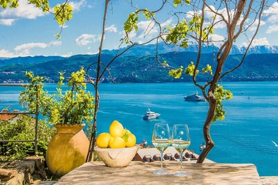 VILLACASTELLOPORTOVENERE WITH LARGE GARDEN AND MEMORABLE SEA VIEW