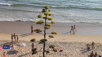 Nær stranden
