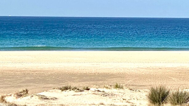 Una playa con vista despejada al océano y una orilla arenosa.