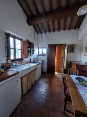 Fridge, oven, stovetop, dishwasher - In the Tuscan countryside  (Anghiari)