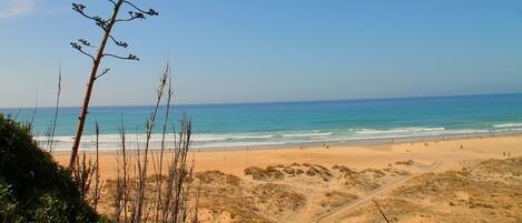 Una spiaggia nelle vicinanze