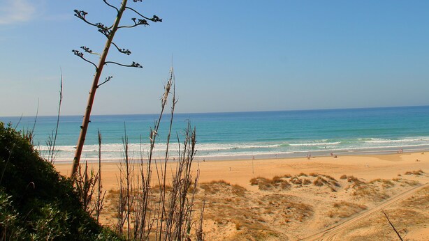 A beach with a clear view of the ocean and sandy dunes. - Two bedroom apartment in the centre (CONIL DE LA FRONTERA)