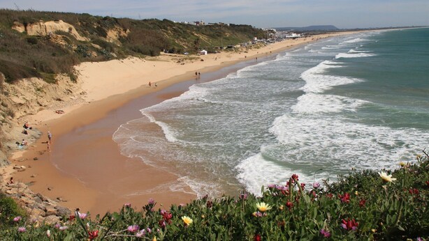 A beach with a sandy shore, waves, and a grassy hill with buildings. - Central apartment with air conditioning (CONIL DE LA FRONTERA)
