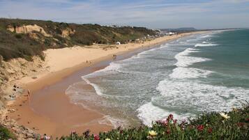 Playa en los alrededores