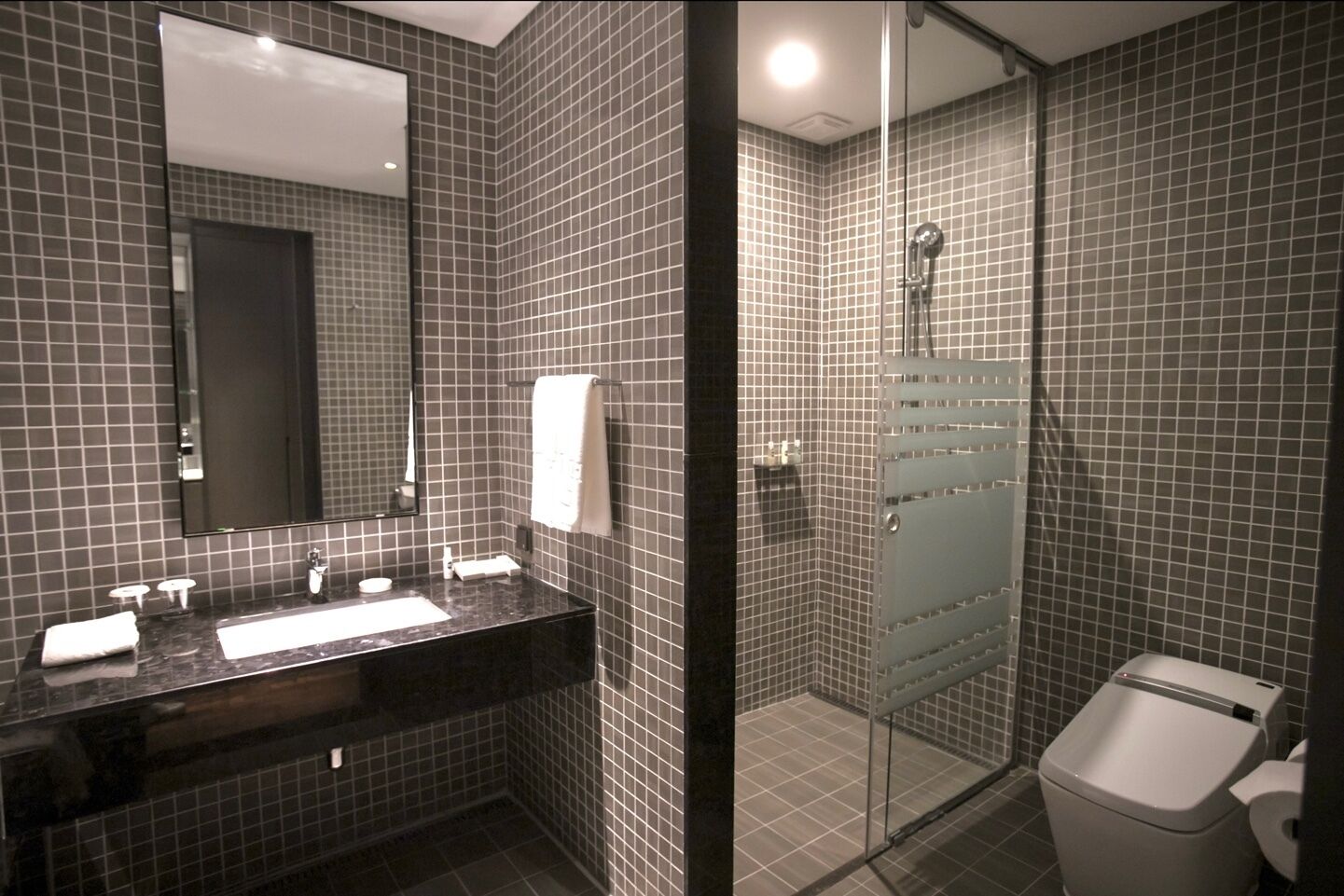 hair dryer, bathrobes, slippers, bidet