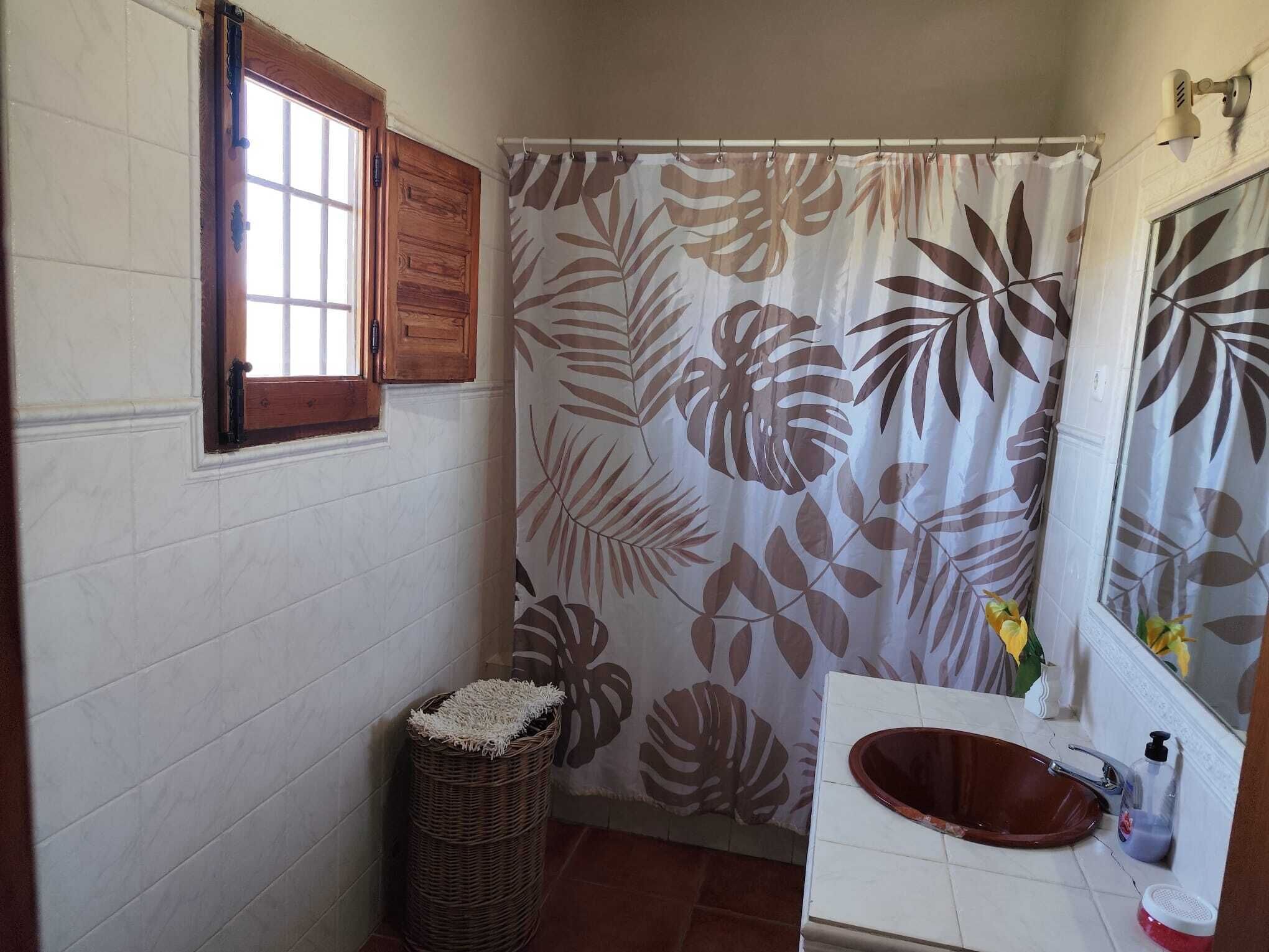 Een badkamer met een houten deur, een raam, een douchegordijn met een bladpatroon, een rieten mand, een wastafel met een rode waskom en een spiegel.
