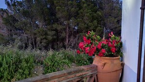 A balcony with a wooden lattice railing, a large terracotta pot with red flowers, and a wall-mounted lantern. - 6 bedroom holiday house in Almachar (ALMACHAR)