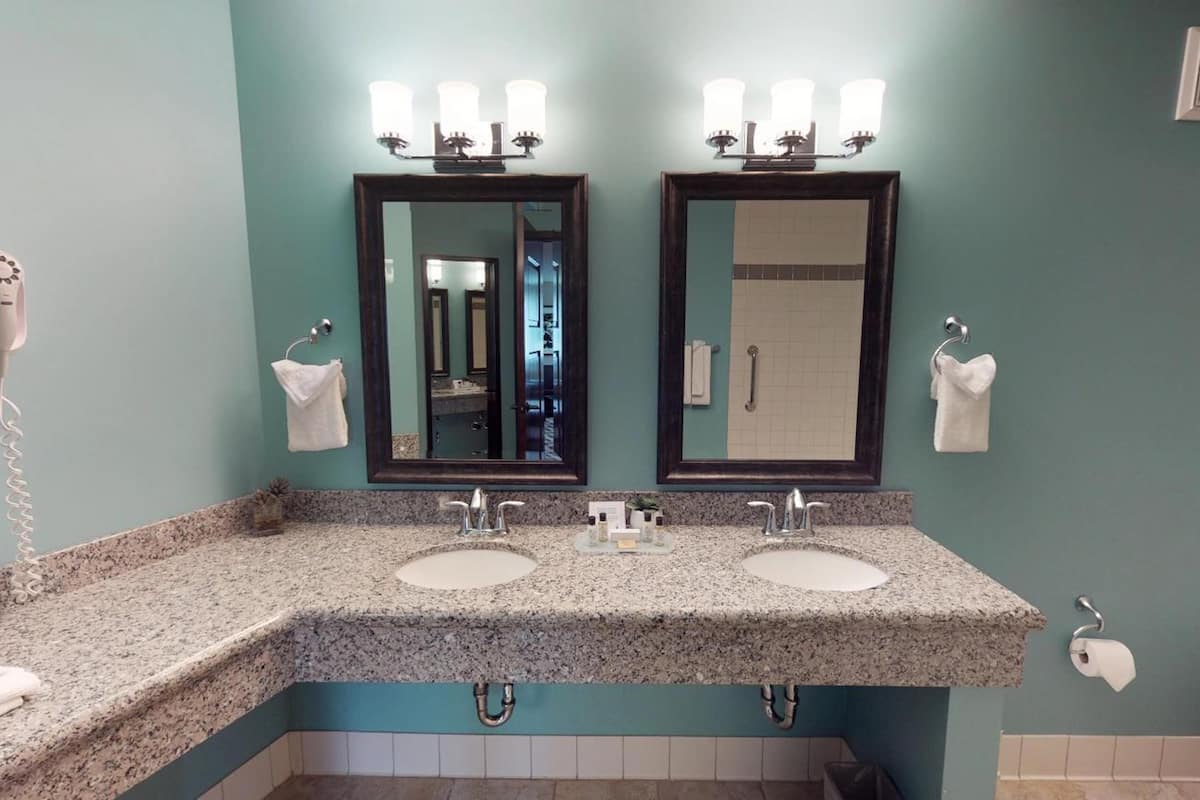 combined shower/bathtub, free toiletries, hair dryer, towels