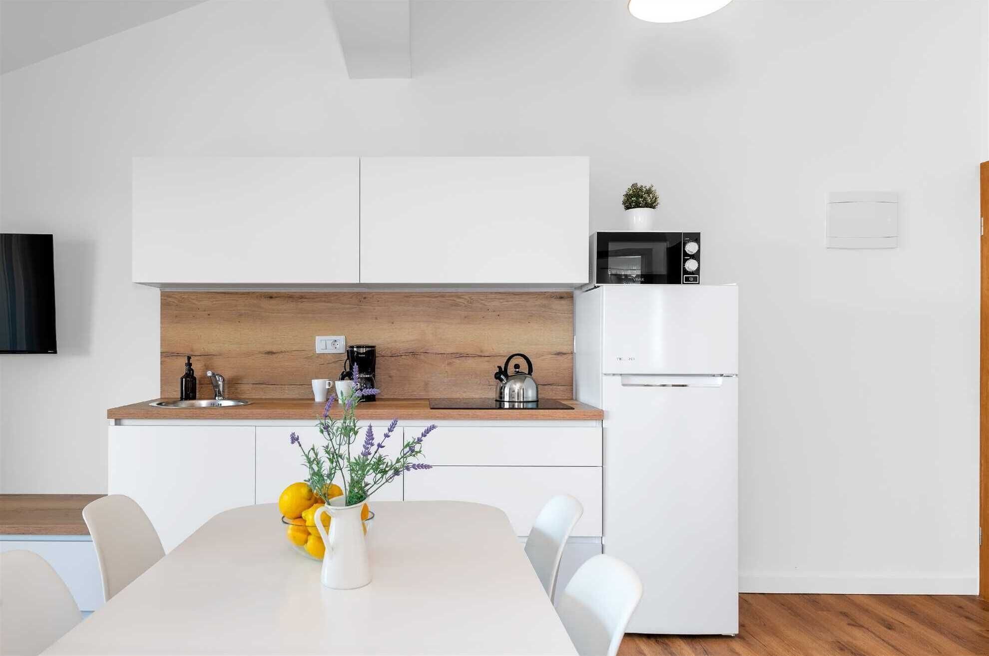 Fridge, microwave, stovetop, coffee/tea maker