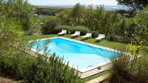 Ein rechteckiger Pool mit Holzterrasse, umgeben von üppiger Vegetation und Bäumen.