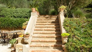 Steinelemente einer Treppe führen zu einem Gartenbereich mit Blumentöpfen und einem Holztisch.