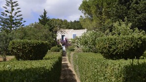 Ein Gartenweg führt zu einem weißen Gebäude mit blauen Fensterläden, umgeben von ordentlich geschnittenen Hecken und verschiedenen Bäumen.
