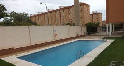 Asunto-allas Alicante