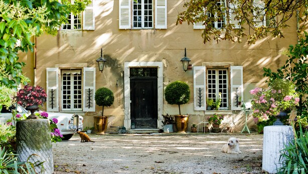 A building with a front door, two windows with shutters, and a small garden area with potted plants and a dog.