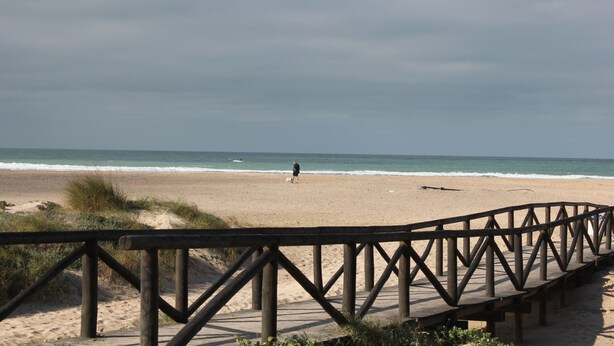 Un paseo marítimo de madera que conduce a una playa arenosa, con una persona y un perro.