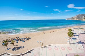 A beach with a clear sky, a sandy shore, and a few palm trees.