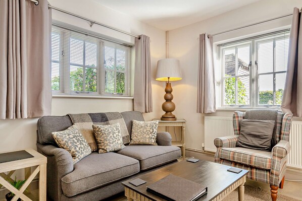 TV, DVD player, books, music library