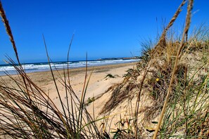 Beach nearby - Central apartment, small pets accepted (CONIL DE LA FRONTERA)