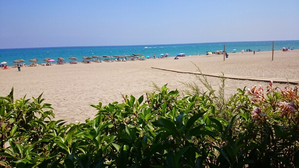 Ein Strand mit Sonnenschirmen und Menschen.
