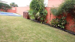A residential area with a swimming pool, a small shed, and a variety of plants along the wall.