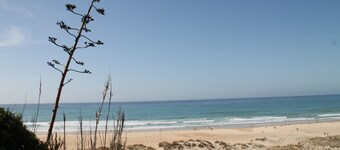 Holiday apartment, pets welcome too