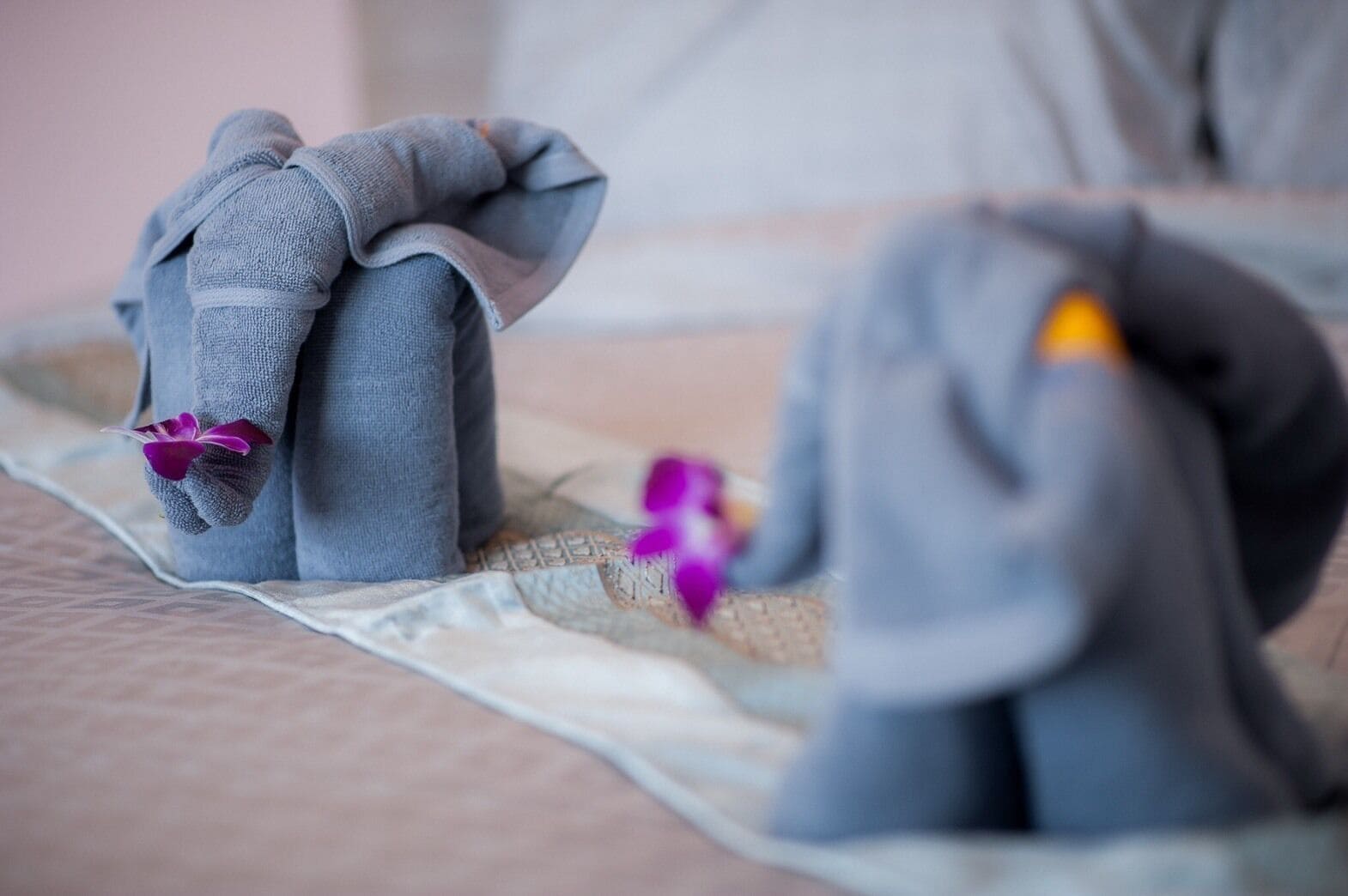 Photo - The Moon Night Hotel