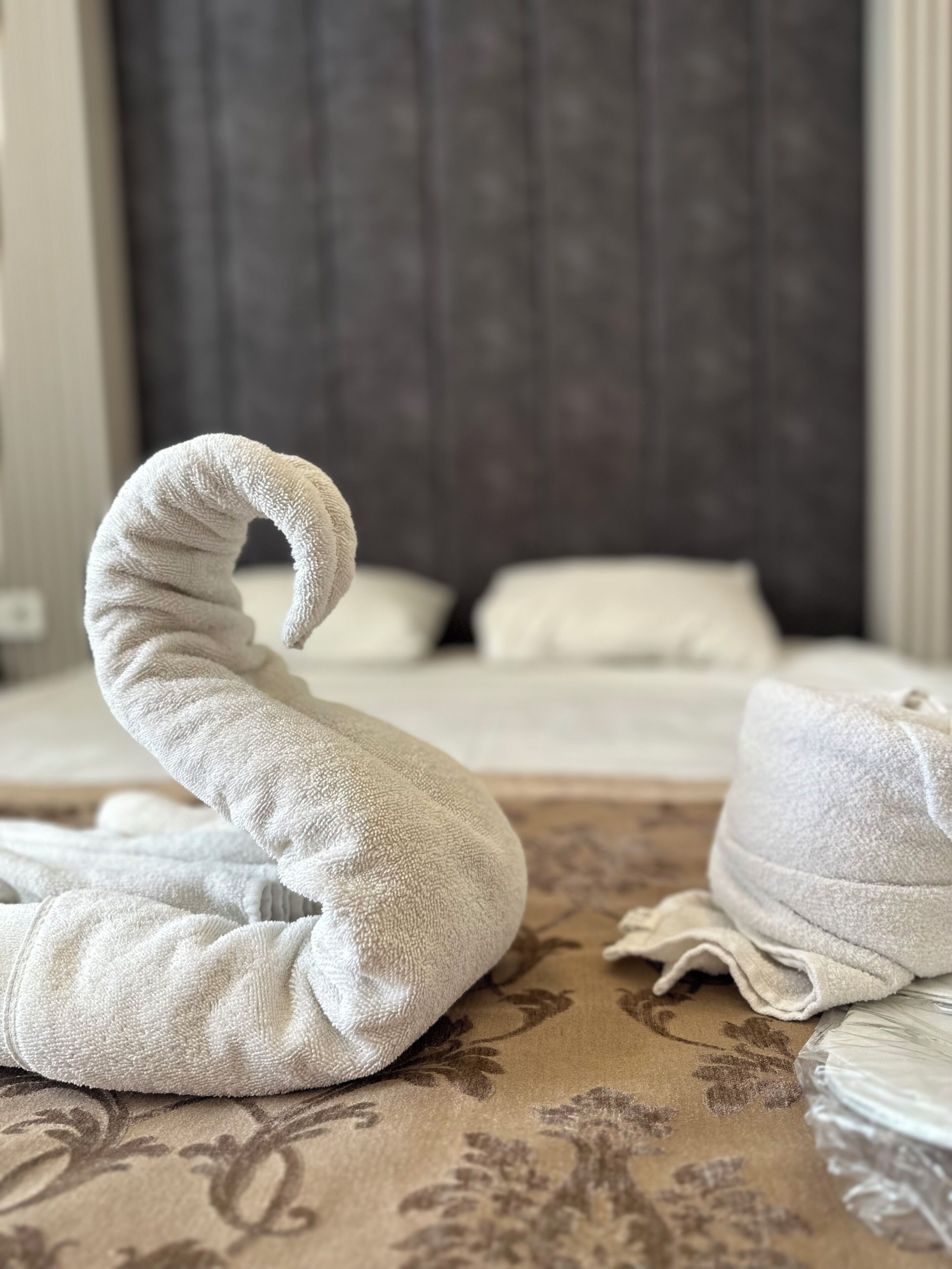 Photo - Divas Silver