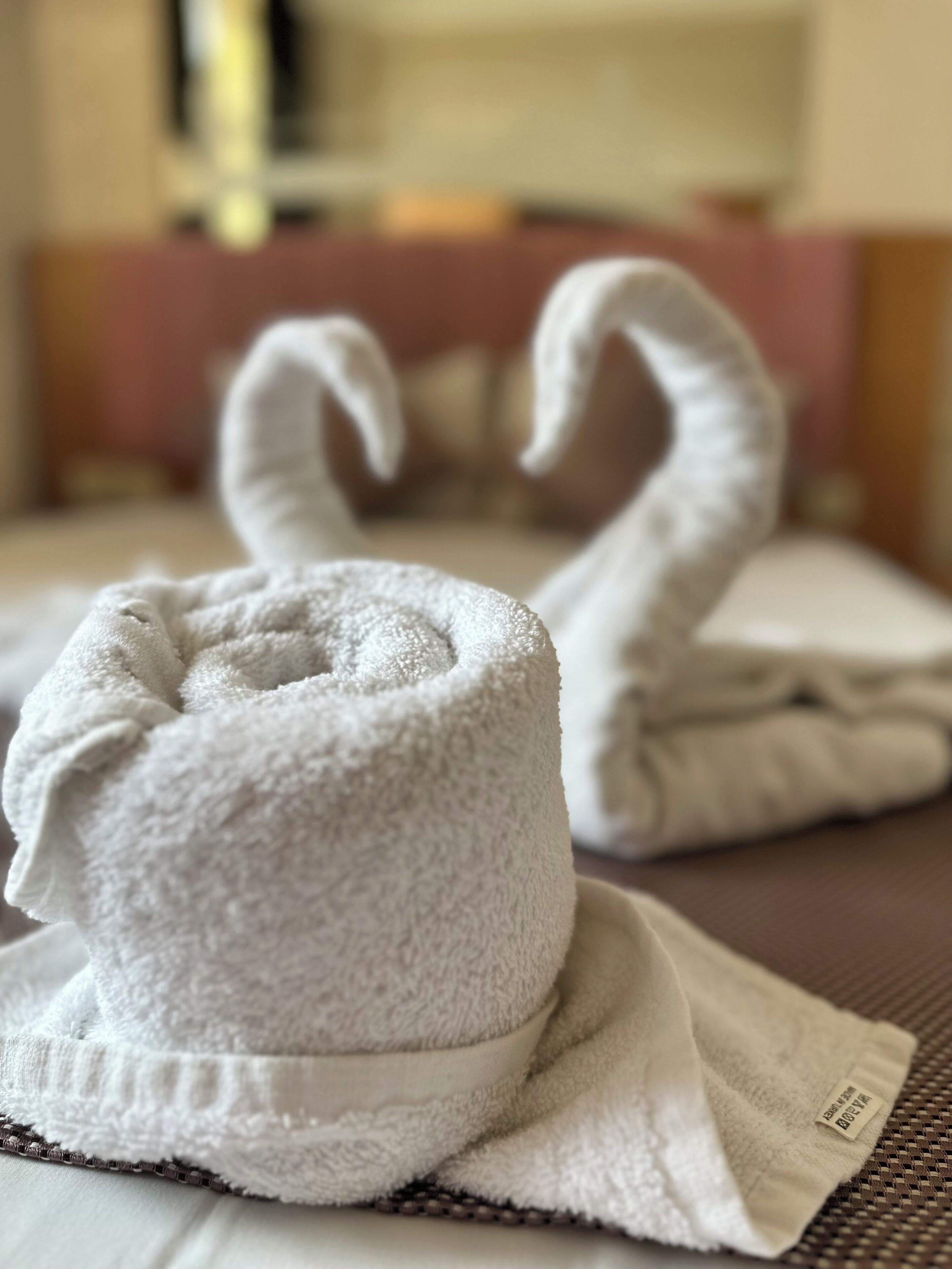 Photo - Divas Silver