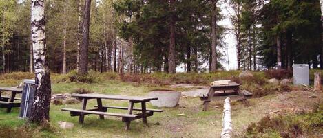 Area picnic con panche e un braciere in un contesto boschivo.