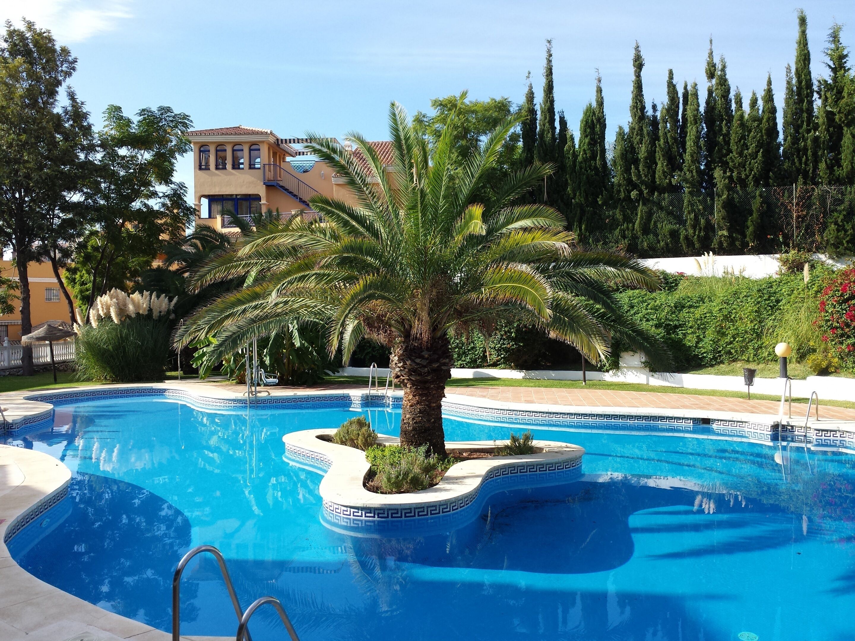 Ein Swimmingpool mit einer Palme, umgeben von Grün und einem Gebäude im Hintergrund.