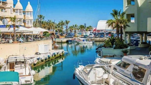 A marina with boats docked, a restaurant, and palm trees.