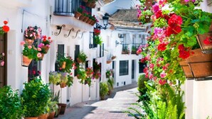 A narrow street lined with white buildings, each adorned with hanging flower baskets and potted plants.