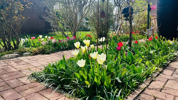 A garden with a variety of flowers, a brick pathway, and a metal structure. - Vacation apartment Baum - Holiday apartment (Rechlin)