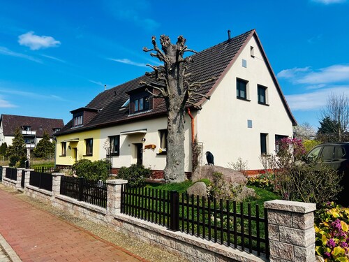Ferienwohnung Baum - Ferienwohnung