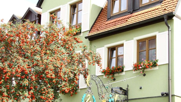 Ein Gebäude mit grüner Fassade, zahlreichen Fenstern und Blumenkästen.