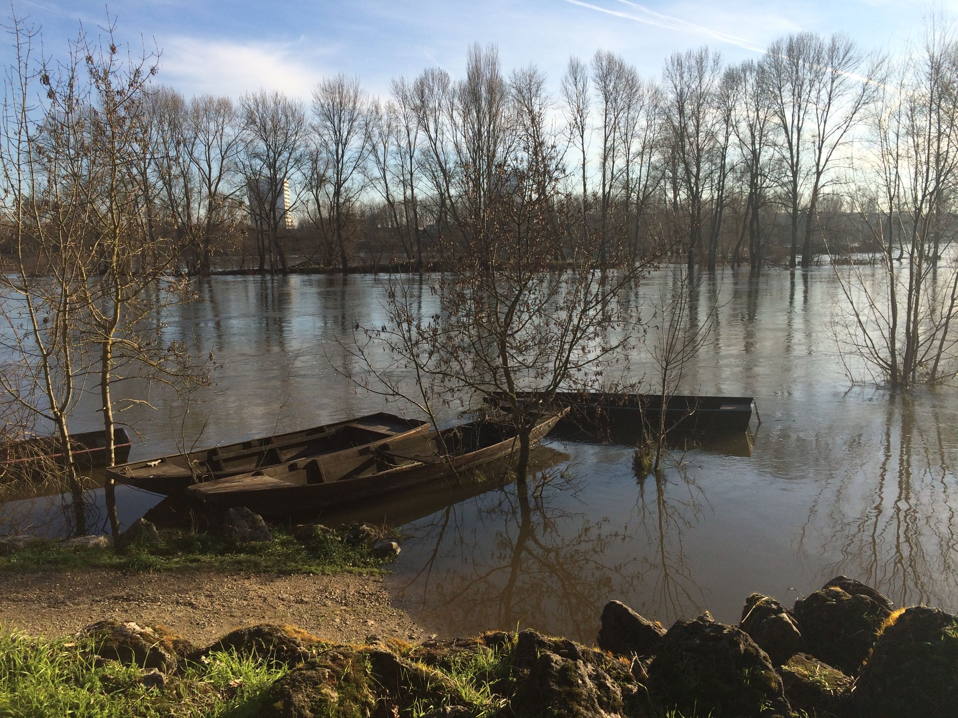 Un'area allagata con barche e alberi.