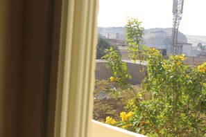 Vista desde la propiedad