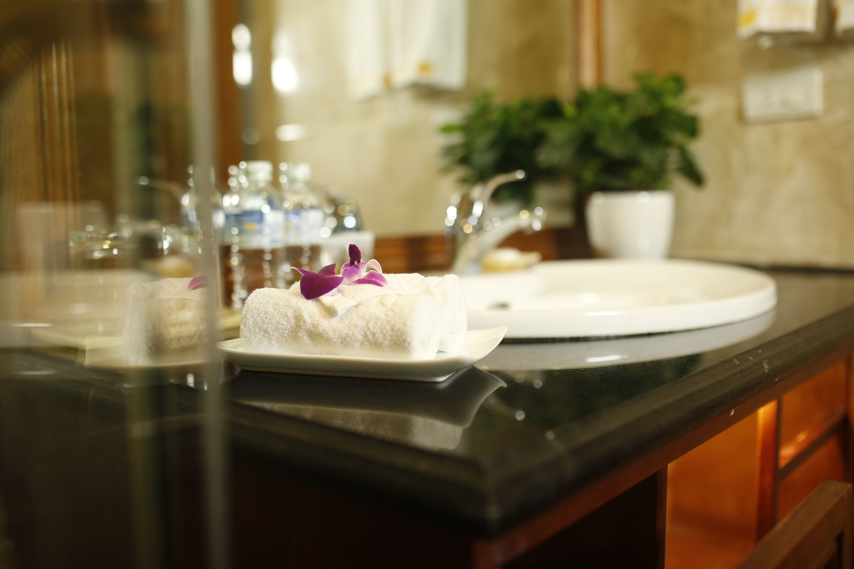 A dessert on a white plate on a black countertop with a potted plant in the background.