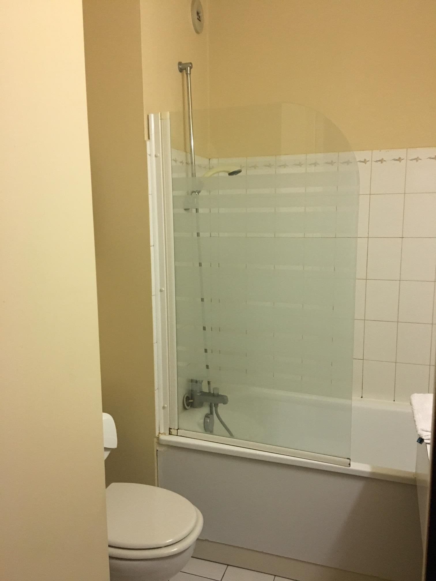combined shower/bathtub, free toiletries, hair dryer, towels